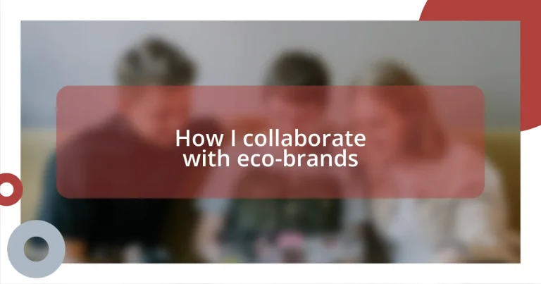 How I collaborate with eco-brands