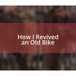 How I Revived an Old Bike