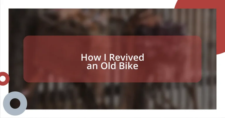 How I Revived an Old Bike