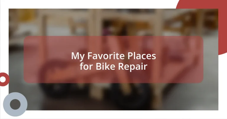 My Favorite Places for Bike Repair