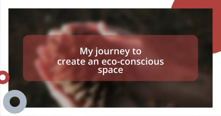My journey to create an eco-conscious space